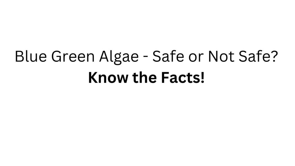 Blue Green Algae Toxins Health Tips